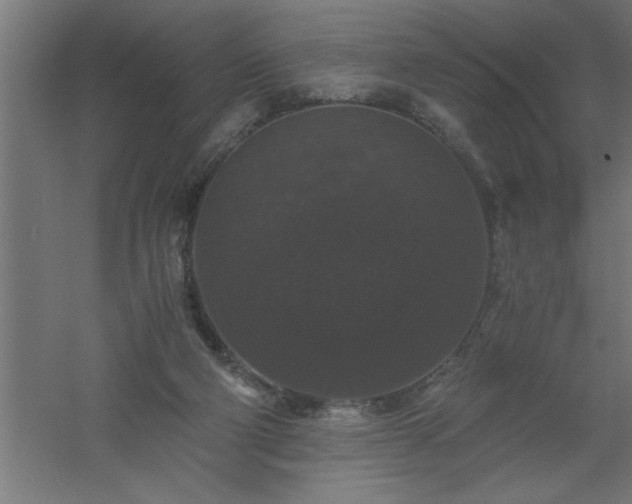 X0000061140114200511241814