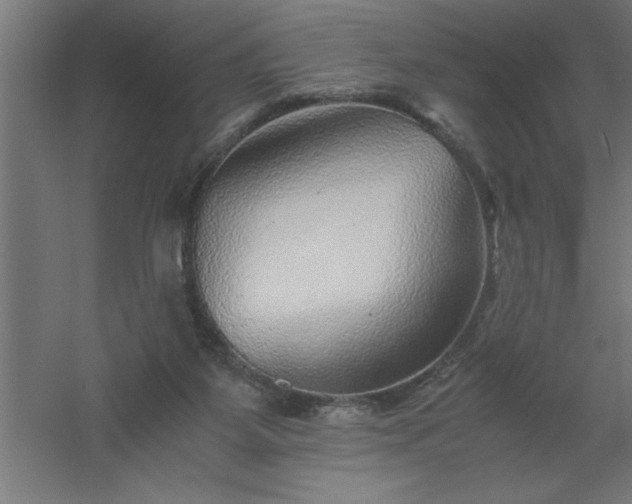 X0000061140115200511241814