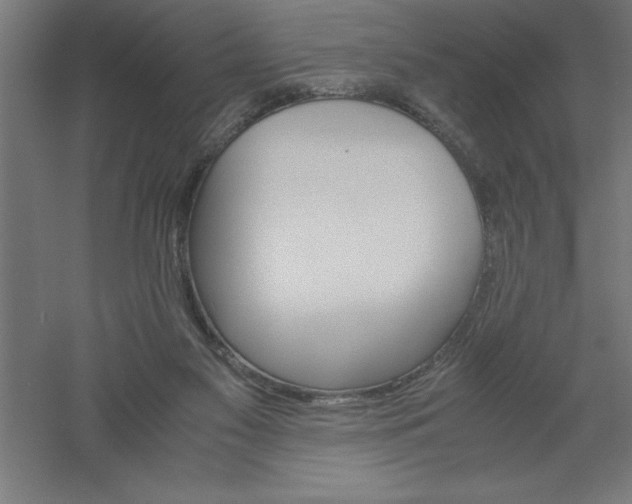 X0000061140117200511241814