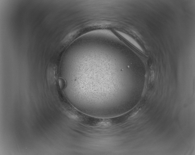 X0000061140119200511241814