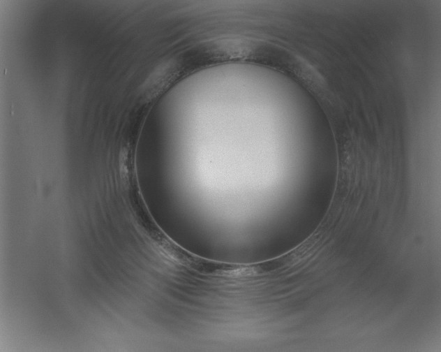 X0000061140122200511241814