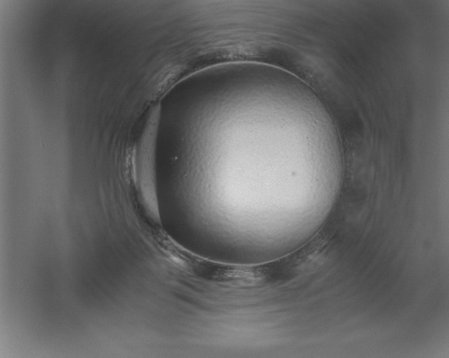 X0000061140123200511241814