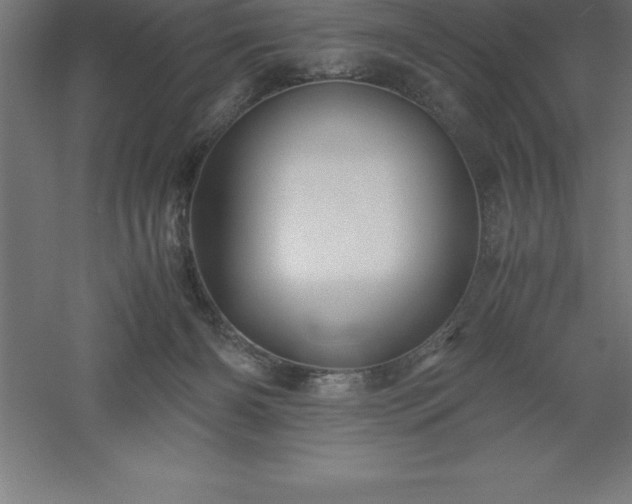 X0000061140126200511241814