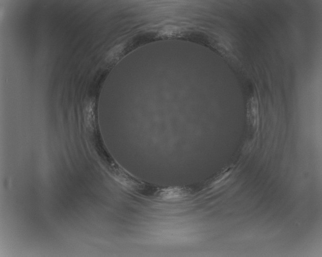 X0000061140127200511241814