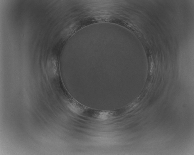 X0000061140130200511241814