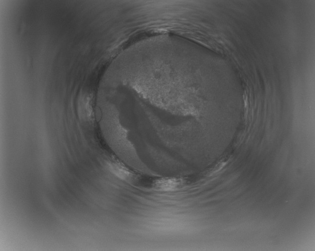 X0000061140131200511241814