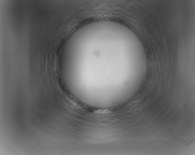 X0000061140133200511241814