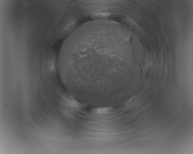 X0000061140134200511241814