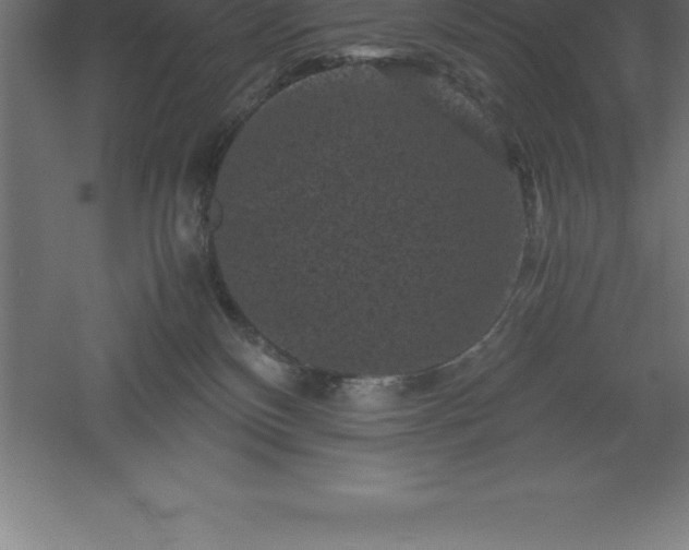 X0000061140136200511241814