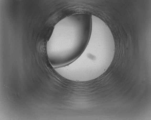 X0000061140137200511241814