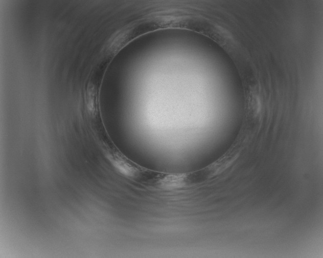 X0000061140138200511241814