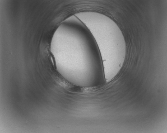 X0000061140141200511241814