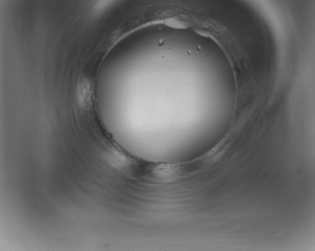 X0000061140142200511241814