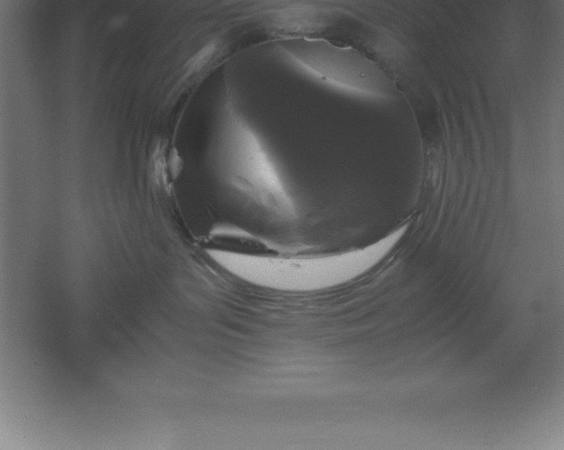 X0000061140143200511241814