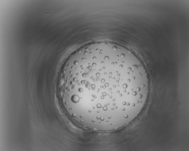 X0000061140145200511241813