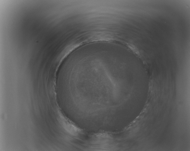 X0000061140146200511241813