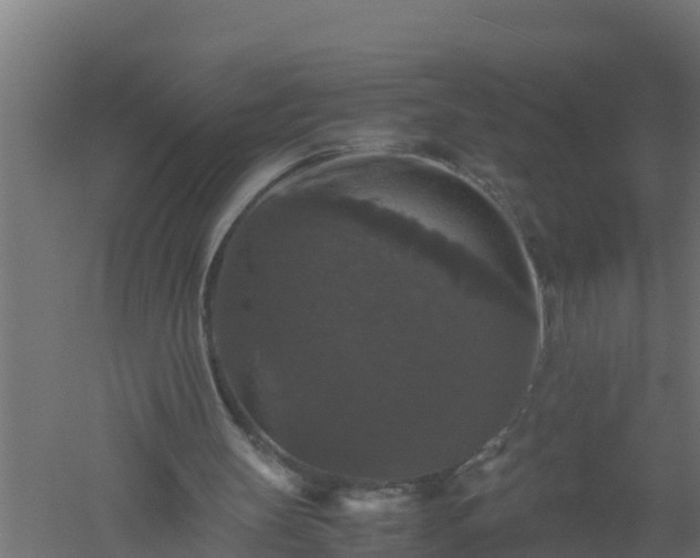 X0000061140147200511241813