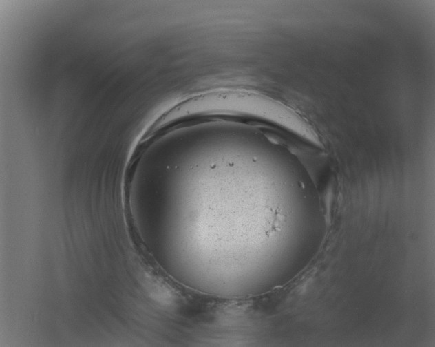 X0000061140148200511241813