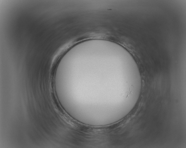 X0000061140149200511241813