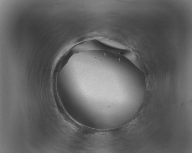 X0000061140150200511241813