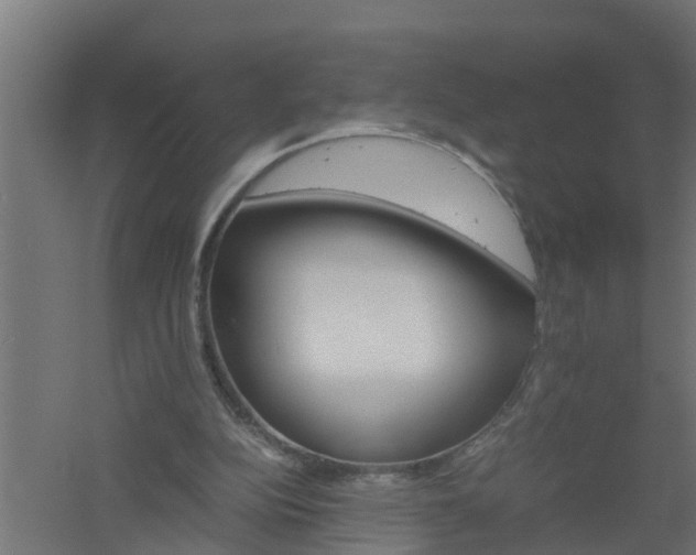 X0000061140152200511241813