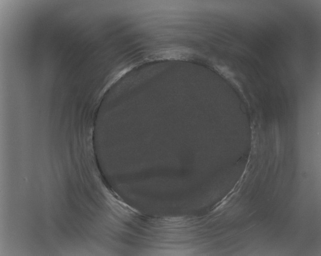 X0000061140154200511241813