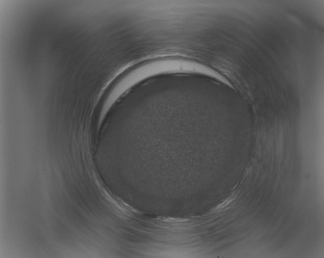 X0000061140156200511241813