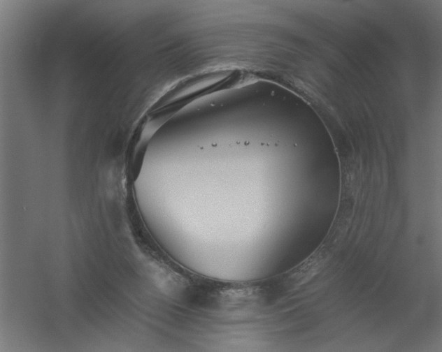 X0000061140160200511241813