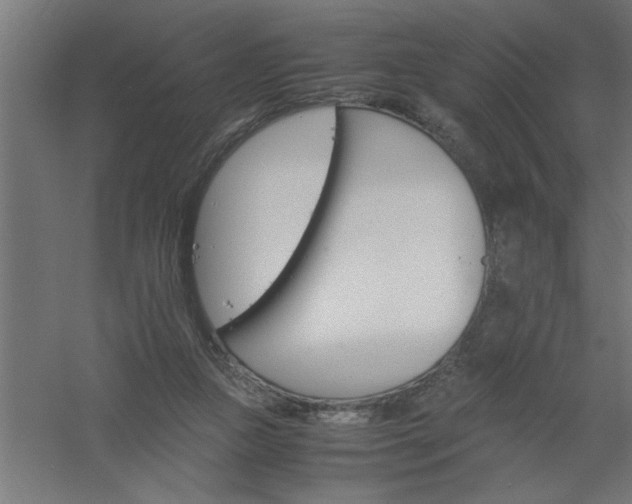 X0000061140161200511241813