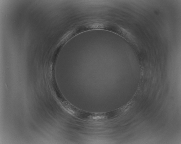 X0000061140163200511241813