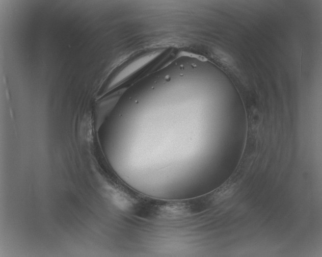 X0000061140164200511241813