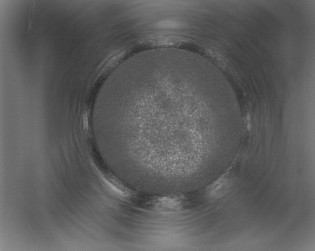 X0000061140166200511241813