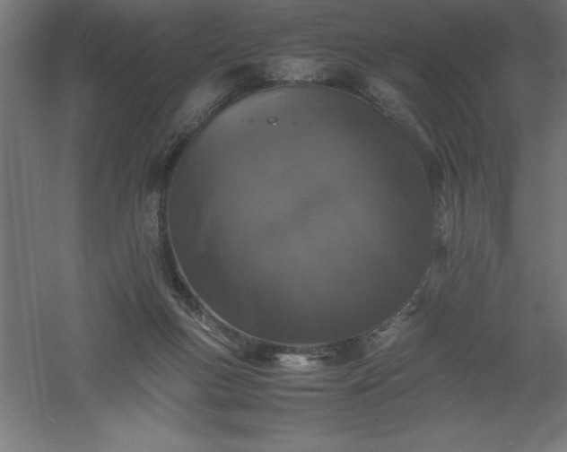 X0000061140167200511241813