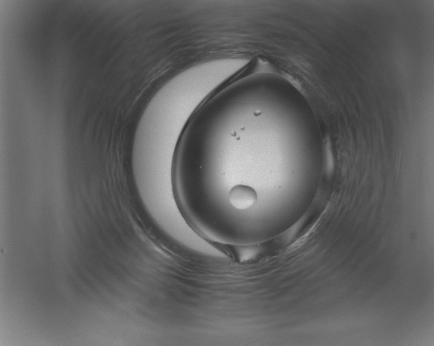 X0000061140171200511241813