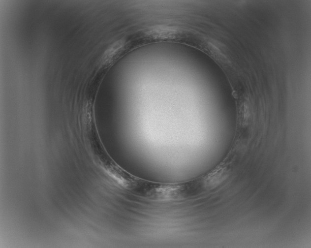 X0000061140172200511241813