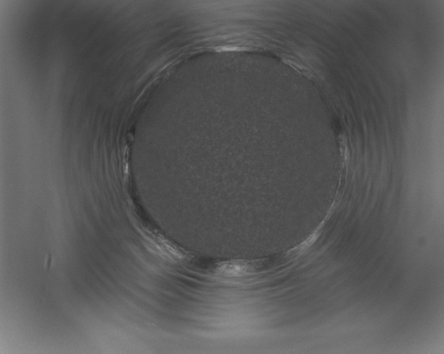 X0000061140174200511241814