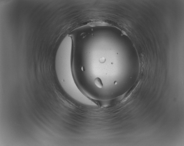 X0000061140175200511241814