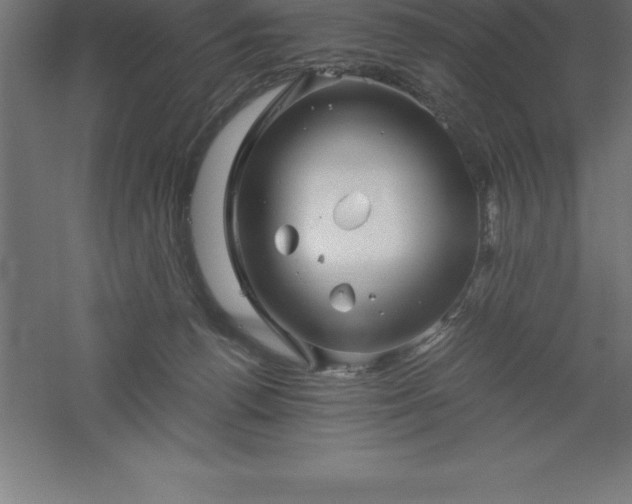 X0000061140176200511241814