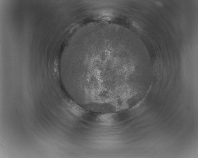 X0000061140178200511241814