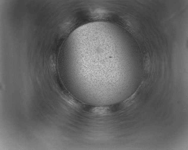 X0000061140179200511241814