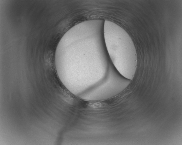 X0000061140181200511241814