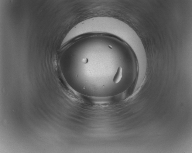 X0000061140186200511241814