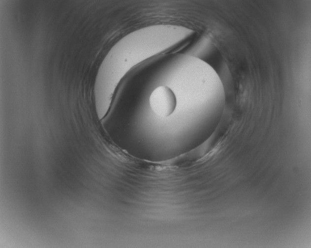 X0000061140188200511241814