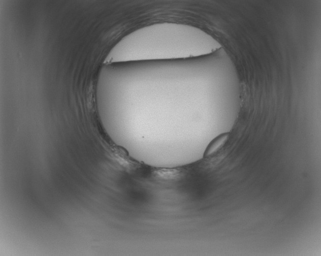 X0000061140189200511241814