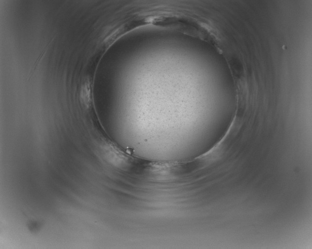 X0000061140190200511241814