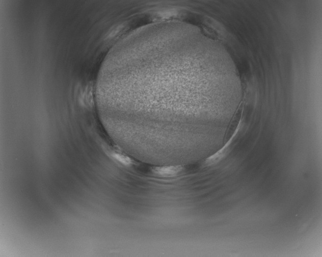 X0000061140191200511241814