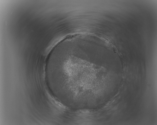 X0000061140194200511241813