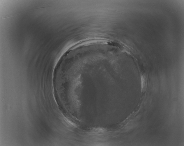 X0000061140195200511241813