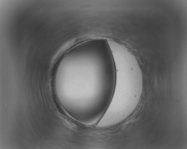 X0000061140197200511241813