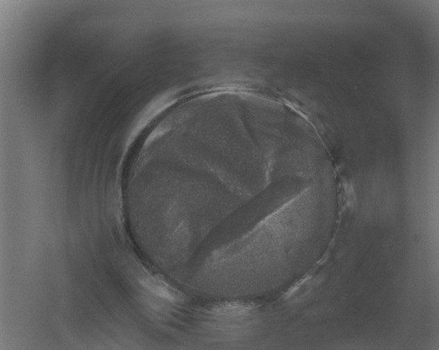 X0000061140198200511241813